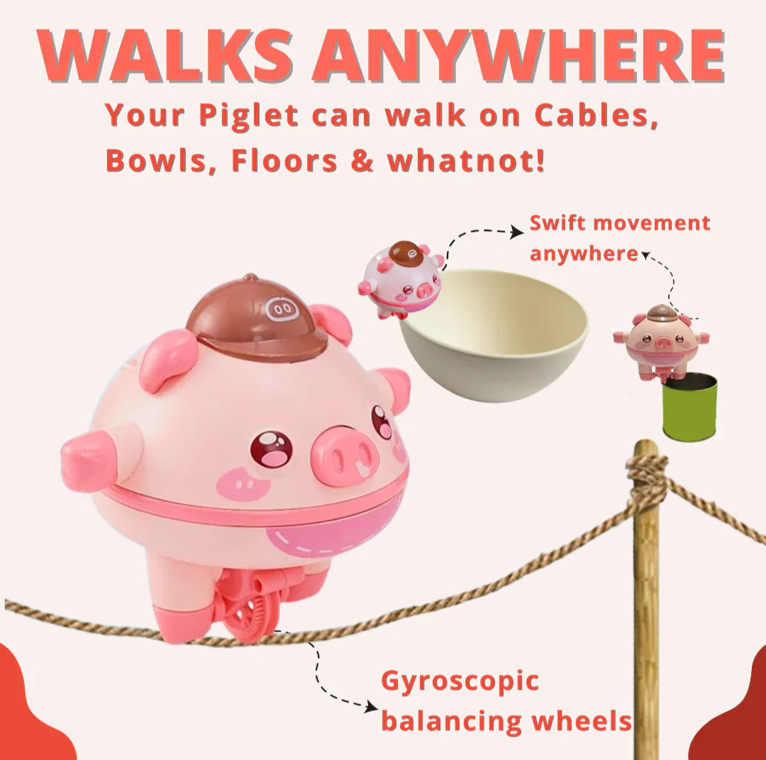 BNB Piglet™ - The Self Balancing Piggy